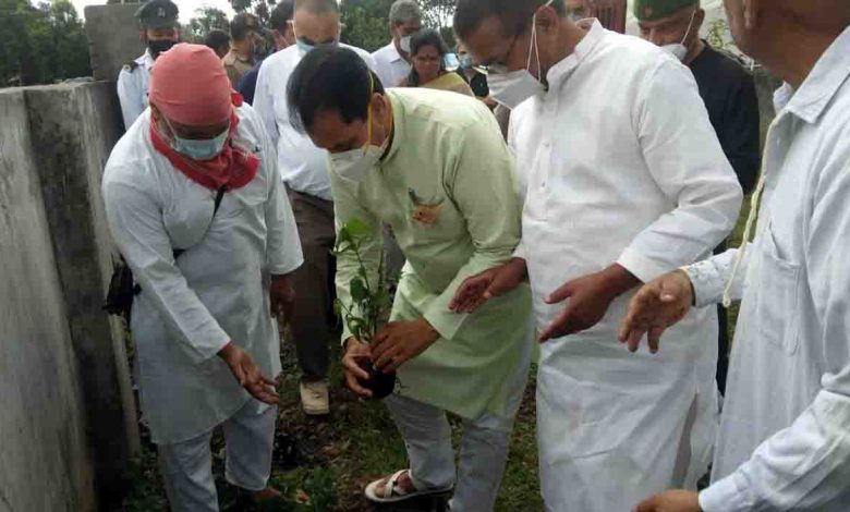 Speaker plants Parijat sapling on Bahuguna’s Tehravi