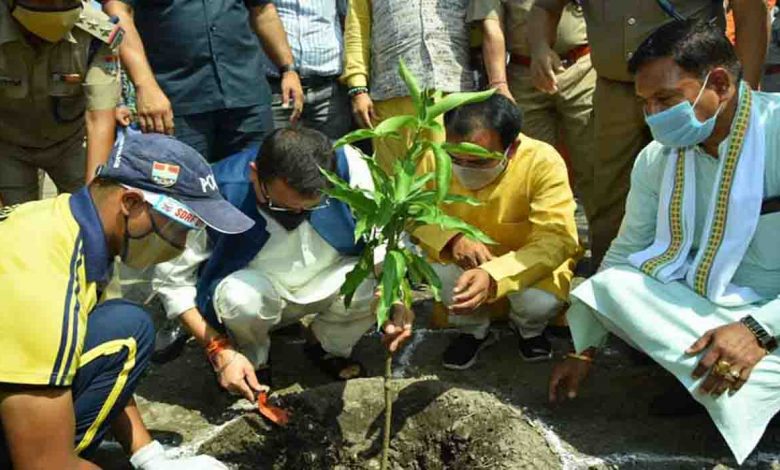 Tree plantation should not remain limited to Govt programme- CM
