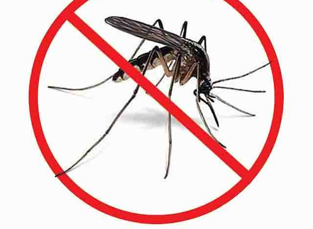 Anti-mosquito spray & roll -ons may keep children safe from dengue ...