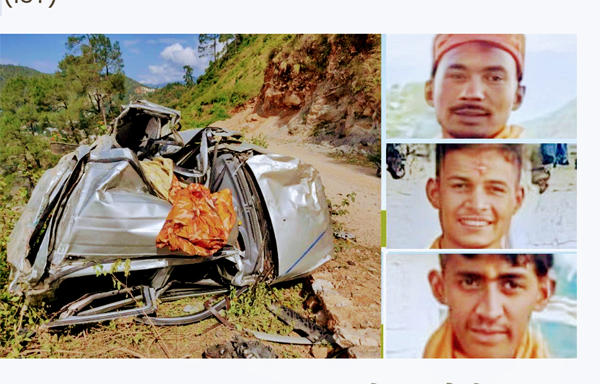 Three die after car falls into gorge