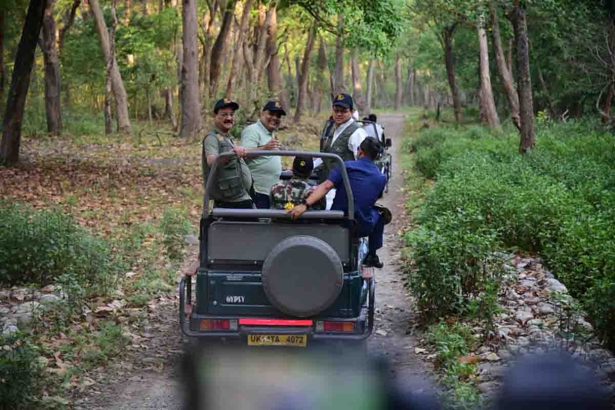 Corbett tigress released in Rajaji enclosure