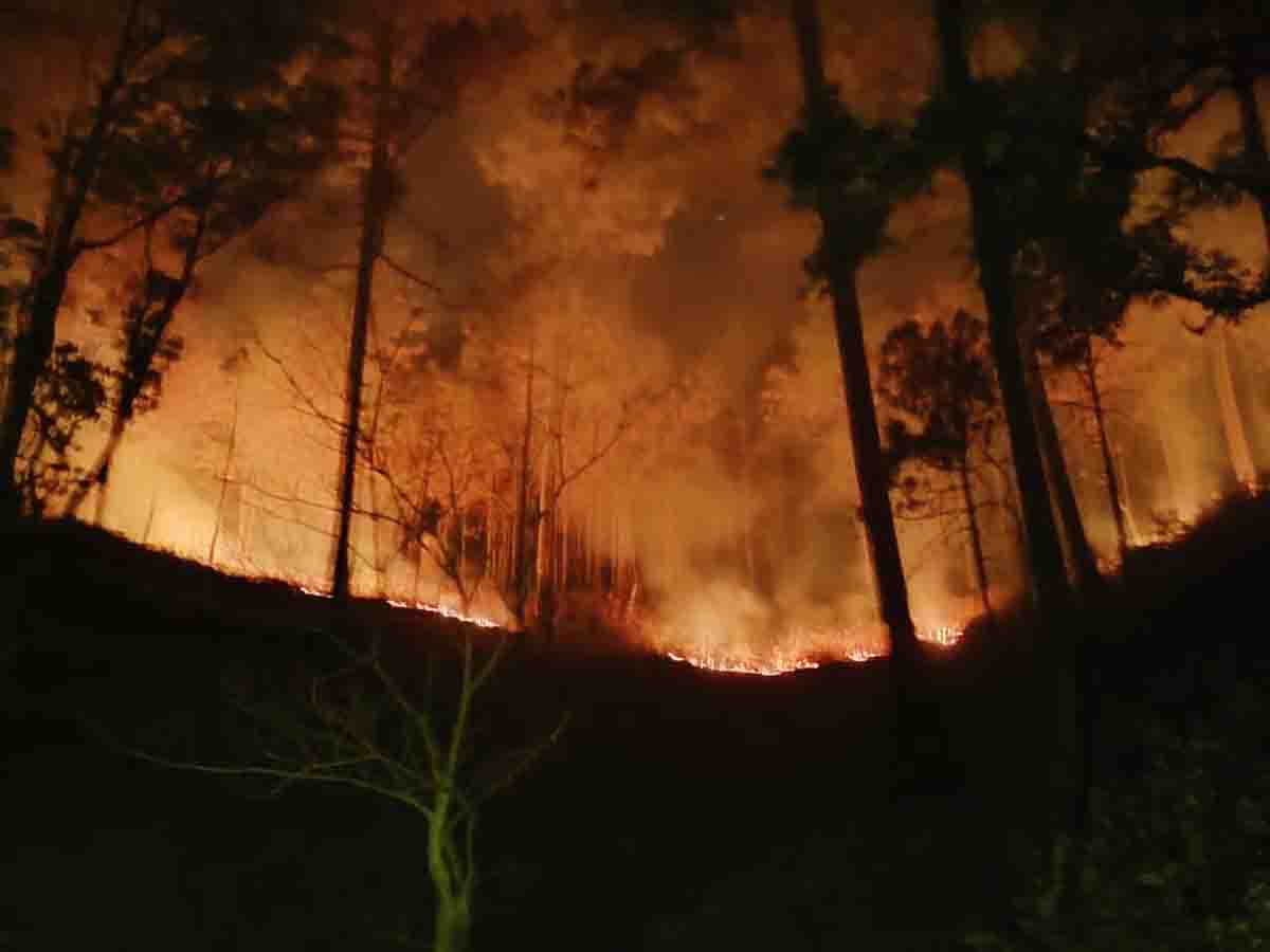 IAF chopper roped in to douse forest fires in Nainital