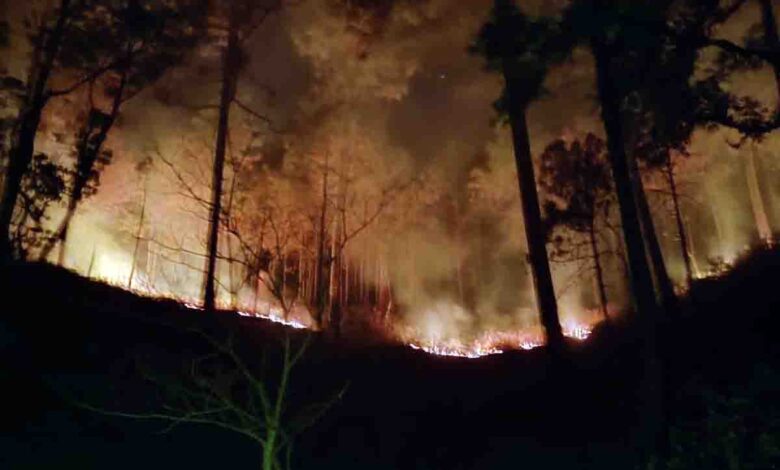 CM directs all DMs to monitor forest fires daily for a week