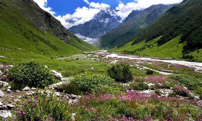 Valley of Flowers to reopen for visitors on June 1