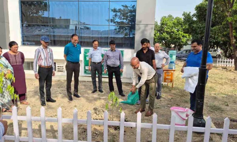 Tree plantation programme held at UJVNL limited