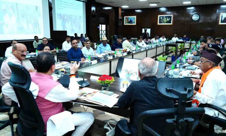 CM stresses on need for better efforts to tackle human-wildlife conflict