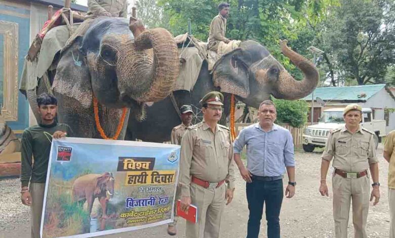 World Elephant Day celebrated in Corbett