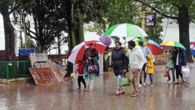 Thunderstorm warning issued for 7 districts, rain forecast across State today