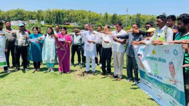 MCD plants 5,100 trees, collects plastic waste on World Environment Day