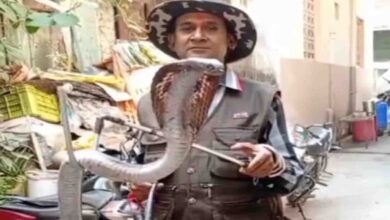 Snake menace raises its hood in Terai forest, deepening people’s insecurity