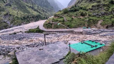 Link to dozens of villages, border area swept away with bridge