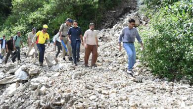 DM treks 2.5 hours to reach remote disaster-hit Phulet