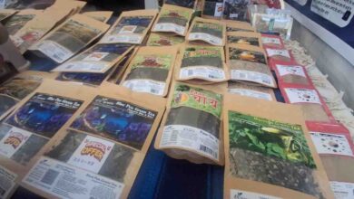 Nainital resident leaves corporate job to sell 22 flavours of organic tea