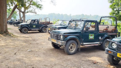 Advertising private websites banned on Corbett safari Gypsies