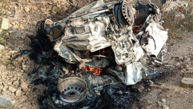 Three members of family killed in road mishap
