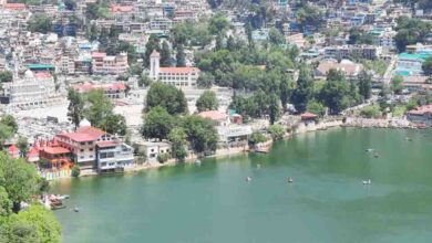 Committee to probe rats gnawing into Nainital