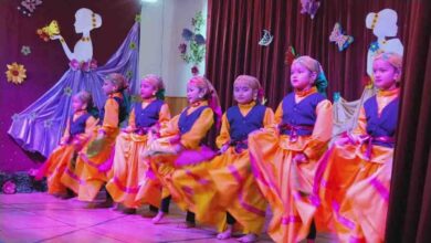 Vrindavan Public School enthral at annual function