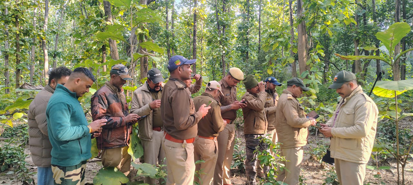 1,100 camera traps installed: Corbett National Park set to hold high-tech tiger census