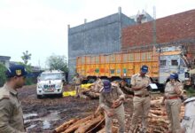 Forest dept seizes 25 cubic metres of khair logs in Baheri raid