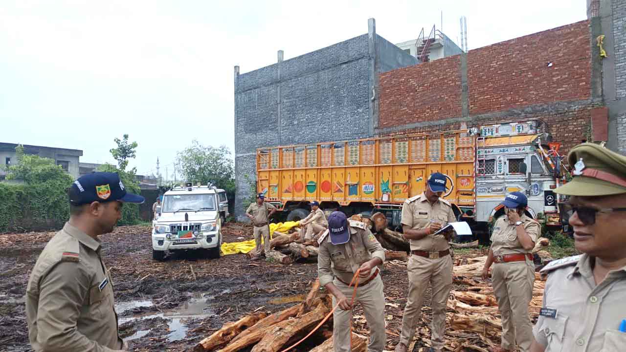 Forest dept seizes 25 cubic metres of khair logs in Baheri raid