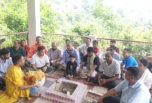 Nanda Devi Fair Banana trees selected for idol making