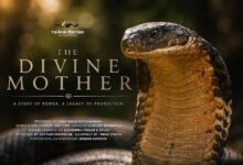 U’khand’s documentary on king cobra awarded at festival
