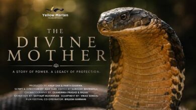 U’khand’s documentary on king cobra awarded at festival