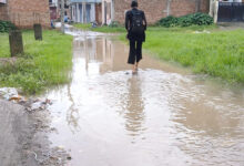 Three years on, Mehuwala await MCD’s nod for road and drainage work